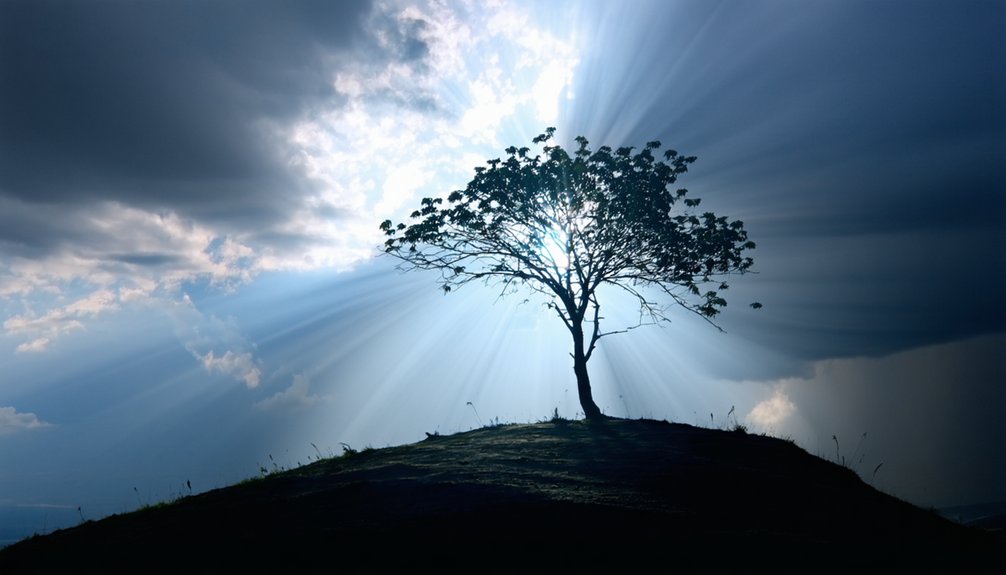 persevere through tough times